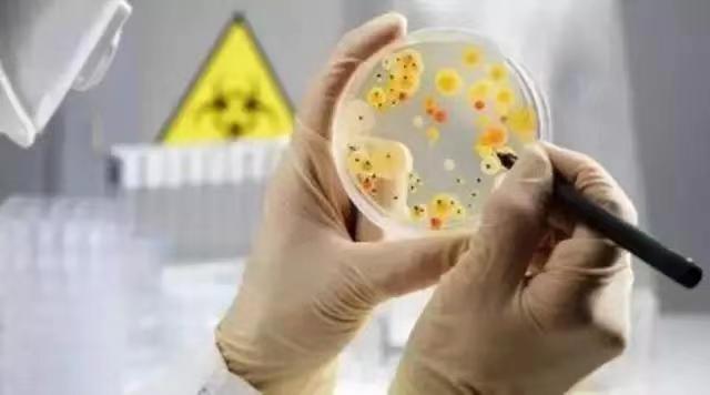 全面了解面包生产过程中的微生物检测技术
